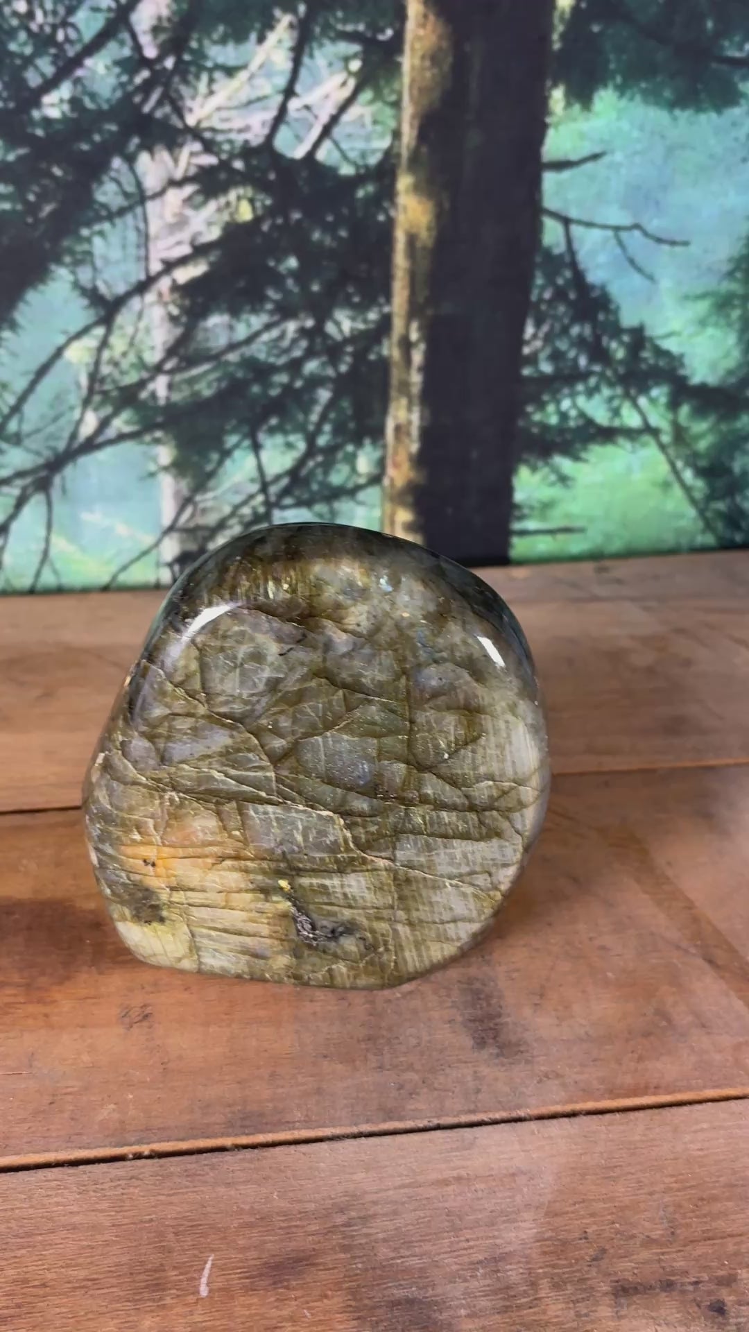 Golden Flash Labradorite Freeform – 2 lb 3.5 oz