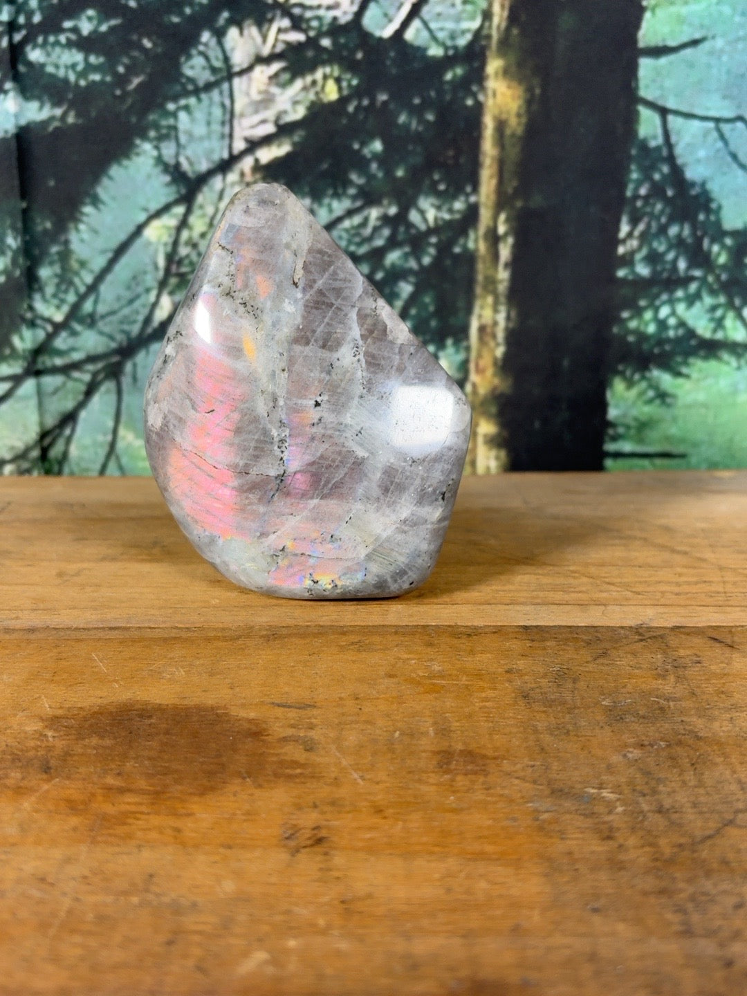 Pink flash rainbow moonstone freeform RBM-FR-001 view 3