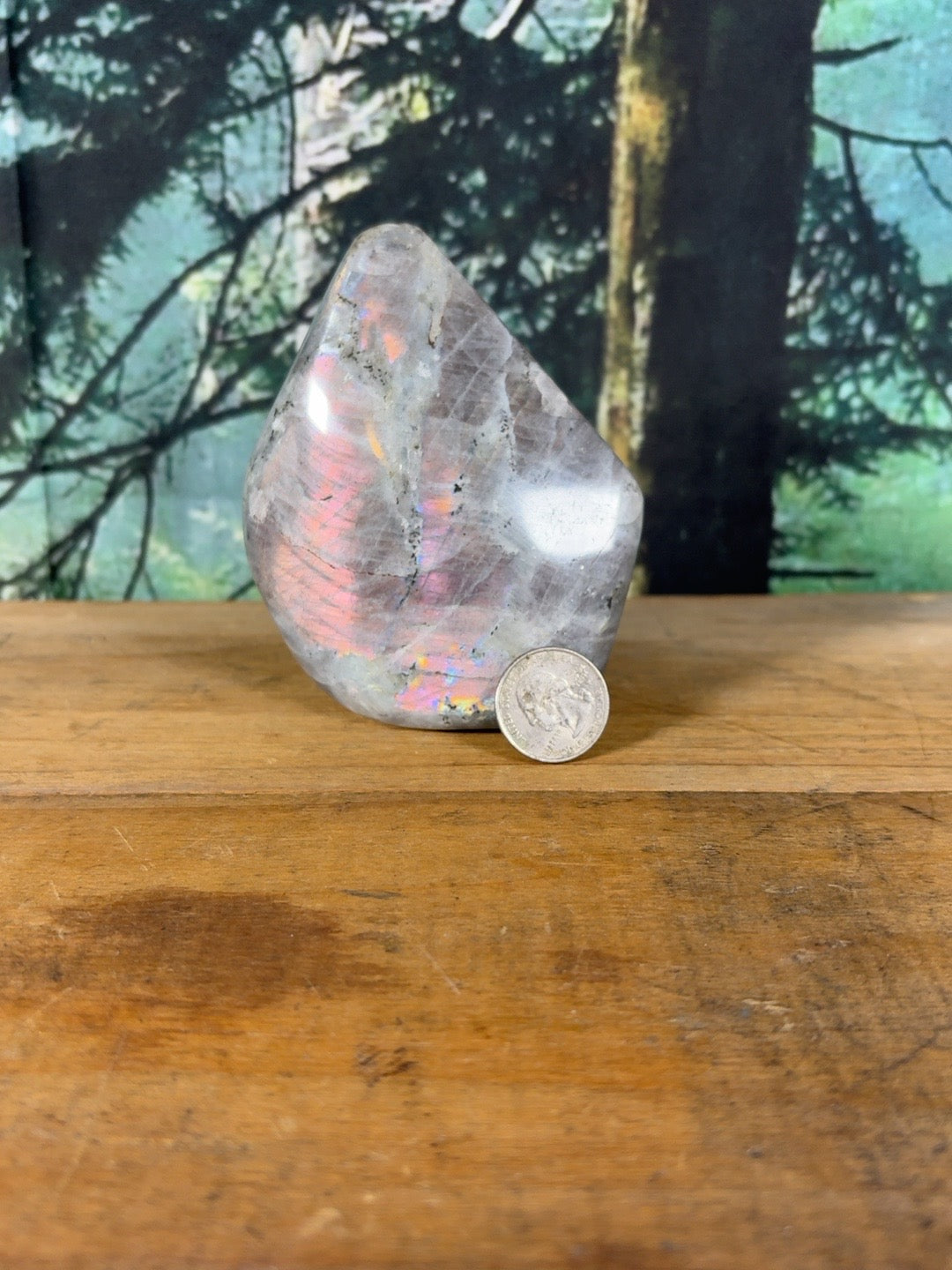 Pink flash rainbow moonstone freeform RBM-FR-001 view 5