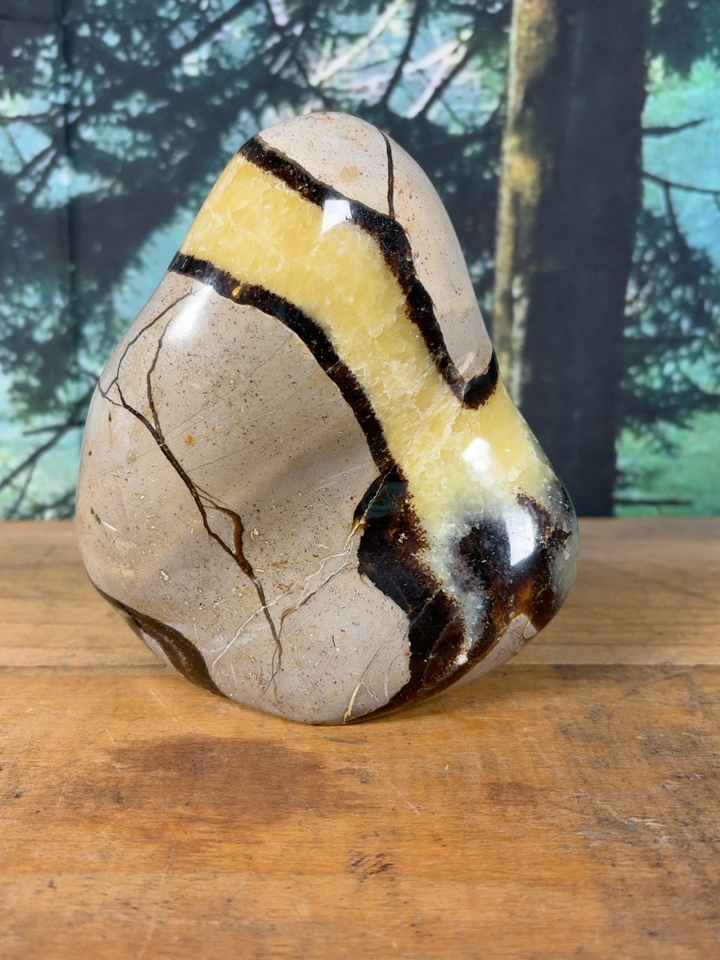 Large polished Septarian freeform, 2 lb 14.2 oz – front view