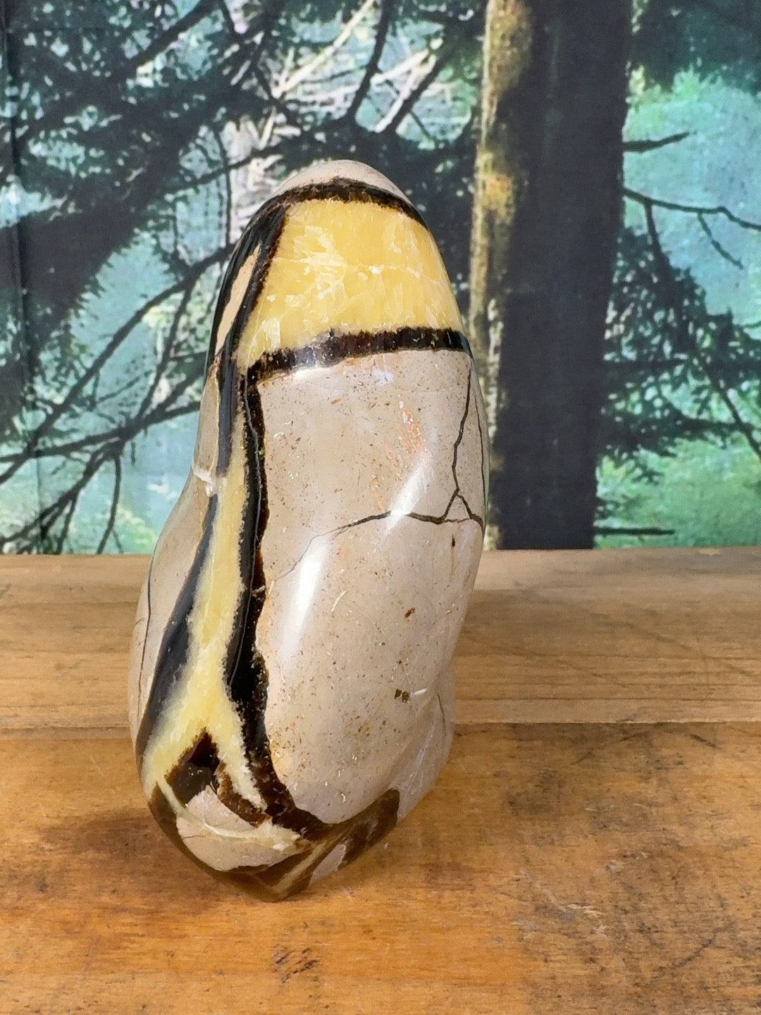 Tall polished Septarian freeform – narrow side view