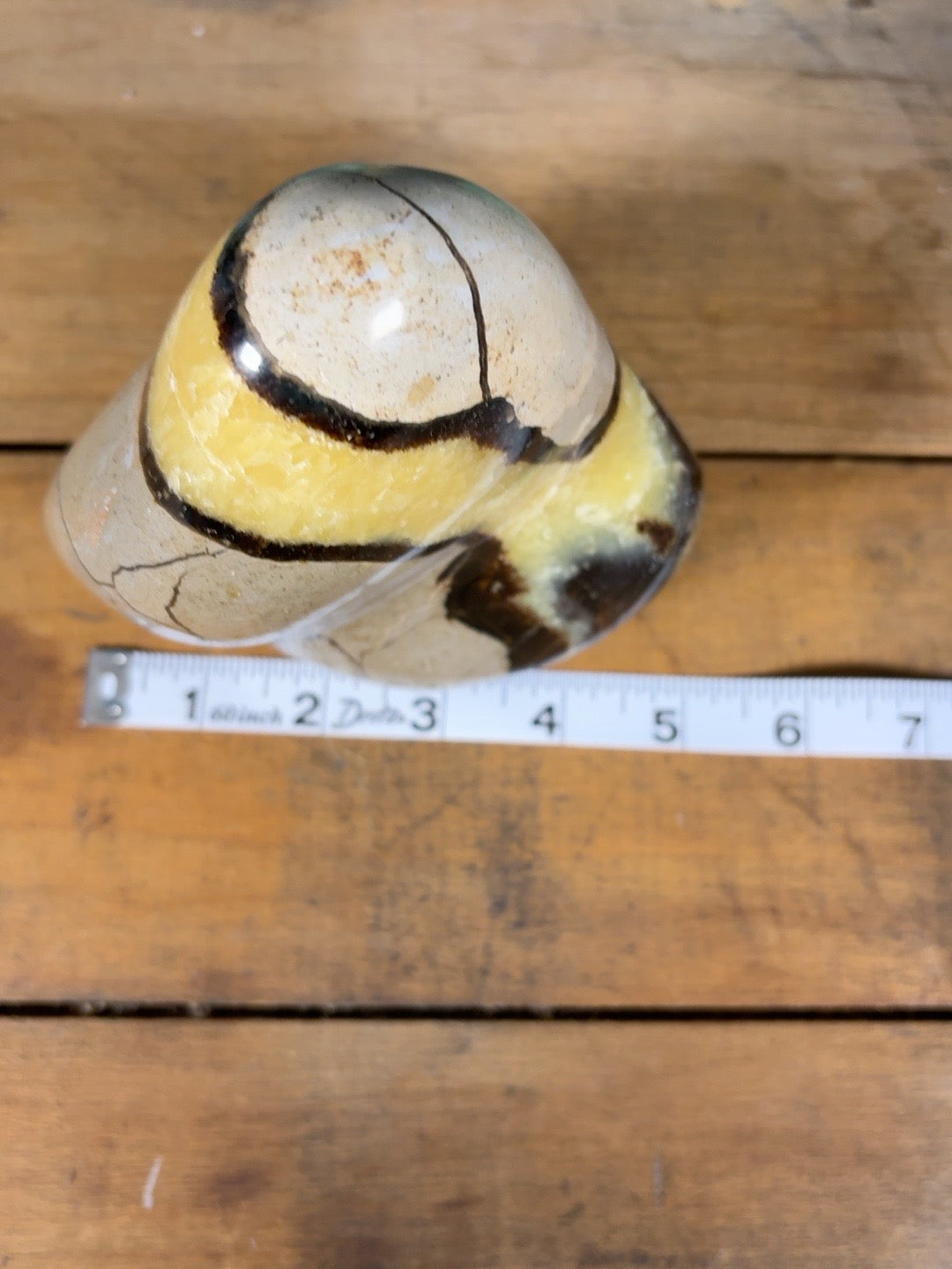 Top view of Septarian freeform with measuring tape