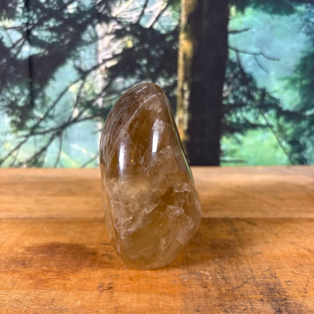 Large smoky quartz freeform, view 6 of 9